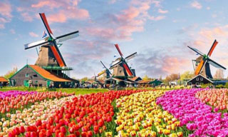 Hollanda Turistik  Vize